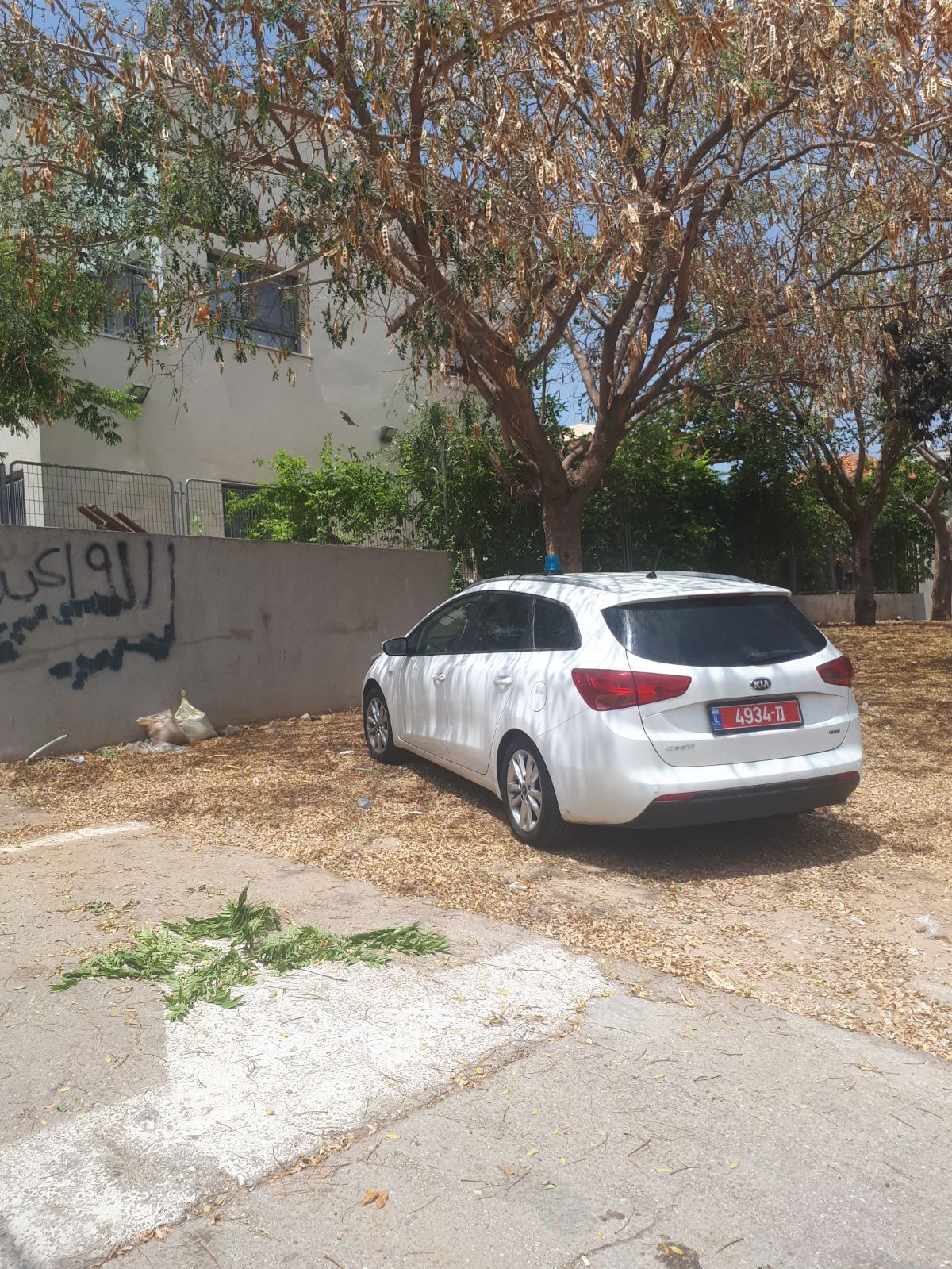 صور: العثور على قنبلة في حي العجمي بيافا